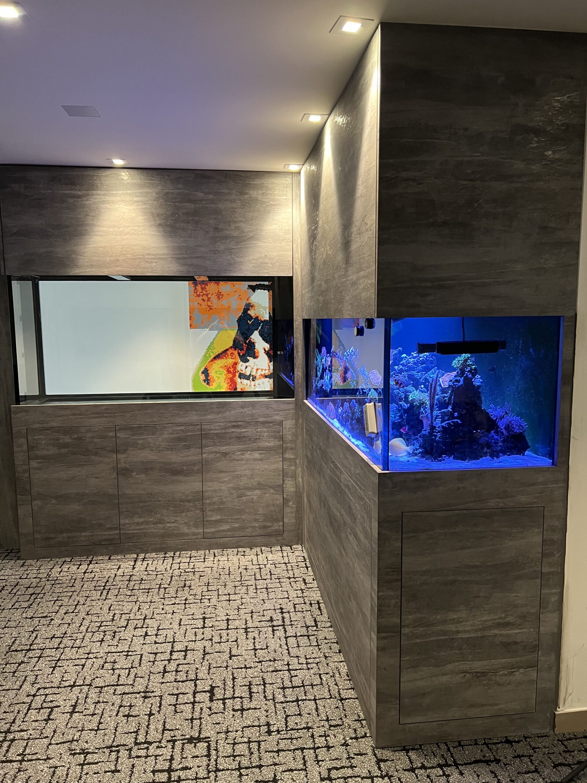 Photo Jul 25 2023, 4 33 04 PM